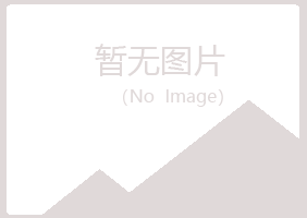 陆河县梦岚工程有限公司